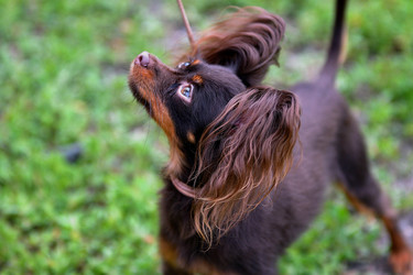 Similar image 21005142