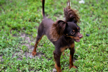 Similar image 21005143