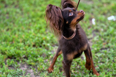 Similar image 21005145