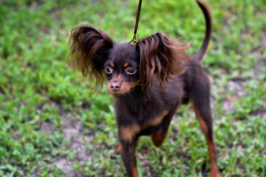 Similar image 21005146