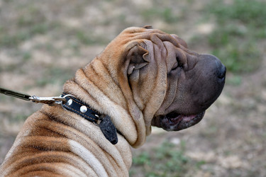 Similar image 21005171