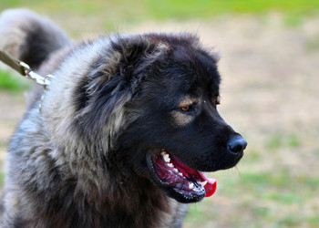 Similar image 21005173