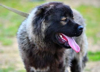 Similar image 21005175