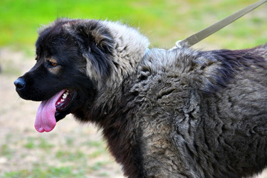 Similar image 21005176