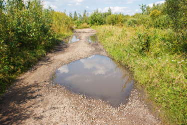 Similar image 21005348