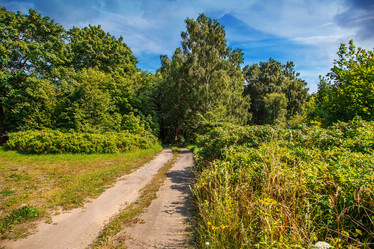 Similar image 21005490