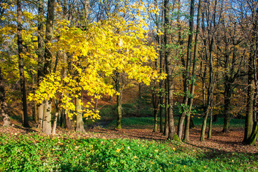 Similar image 21005505