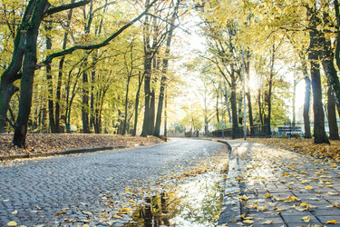 Similar image 21005509