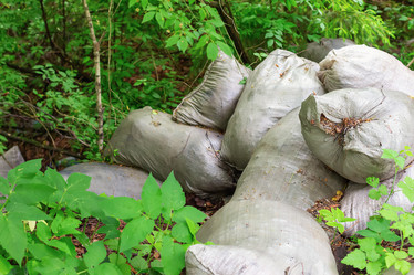 Similar image 21003203