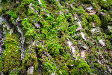 Similar image 21003206