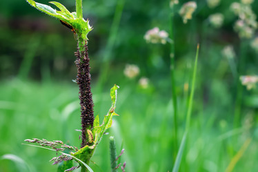 Similar image 21003207