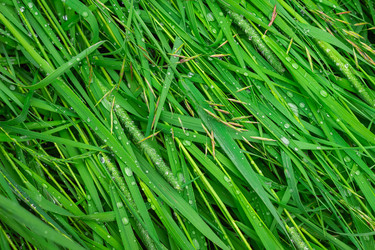 Similar image 21003208