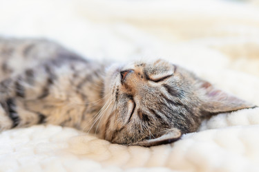 Similar image 21003217