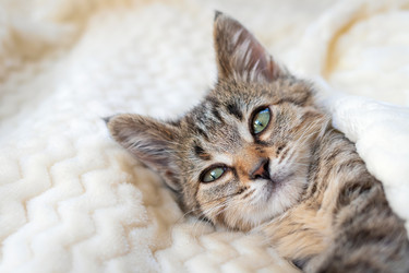 Similar image 21003218