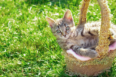 Similar image 21003219