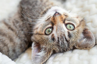 Similar image 21003220