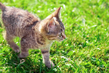 Similar image 21003221