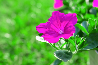 Similar image 21003222