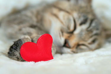 Similar image 21003223