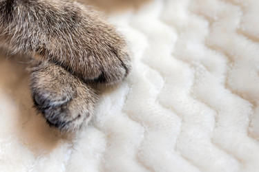 Similar image 21003224