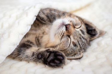 Similar image 21003226