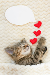 Similar image 21003227