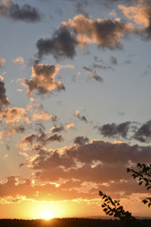 Similar image 21003232