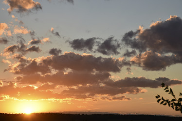 Similar image 21003233