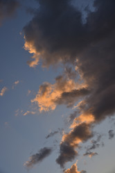 Similar image 21003235