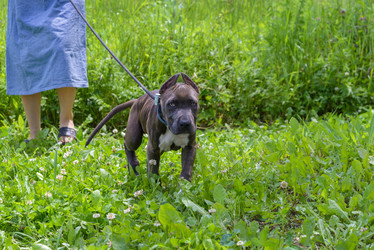 Similar image 21005028