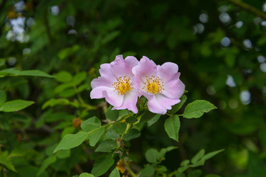 Similar image 21005033