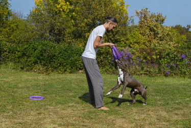 Similar image 21005036