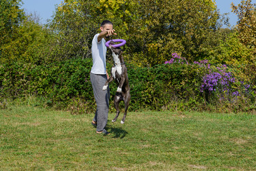 Similar image 21005037