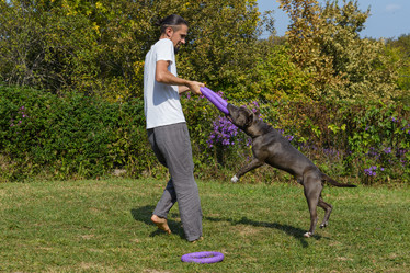 Similar image 21005040