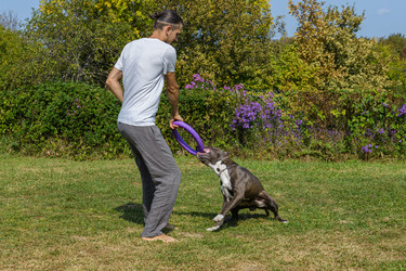 Similar image 21005041