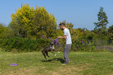 Similar image 21005042