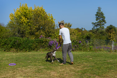 Similar image 21005043