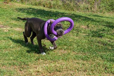 Similar image 21005046