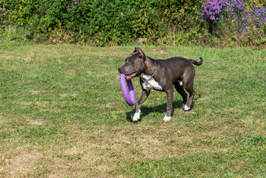 Similar image 21005047