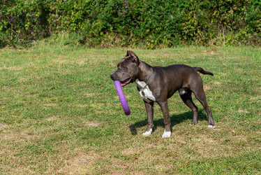 Similar image 21005048