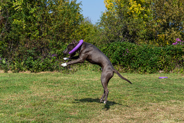 Similar image 21005049