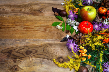 Similar image 21003506