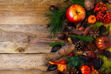 Similar image 21003509