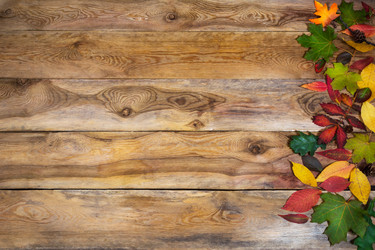 Similar image 21003511