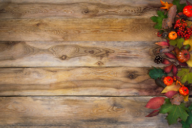 Similar image 21003513