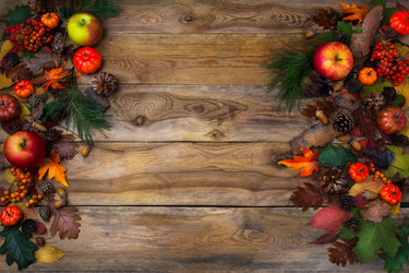 Similar image 21003516