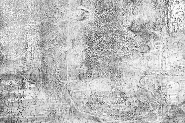 Similar image 21003754