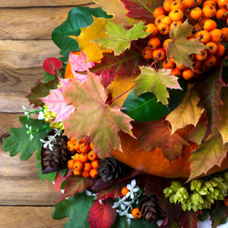 Similar image 21003767