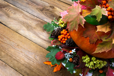 Similar image 21003768