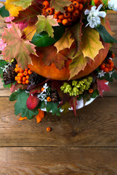 Similar image 21003769